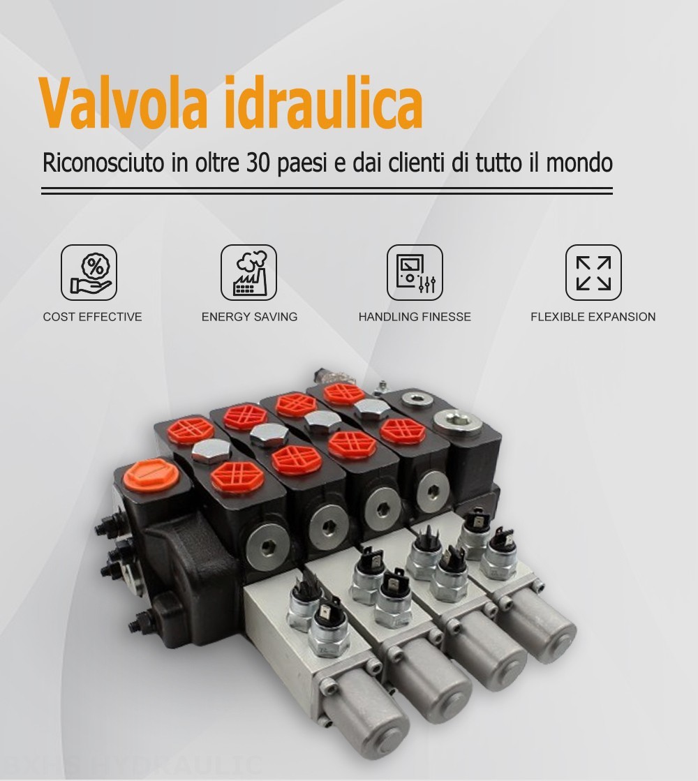 DLS180 Micro Switch Manuale 4 Spool Valvola direzionale sezionale